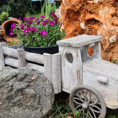 Infinity Sky Pensionat Varna