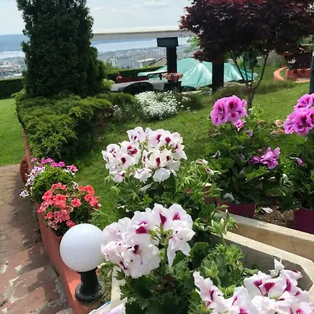 Pensionat Infinity Sky *