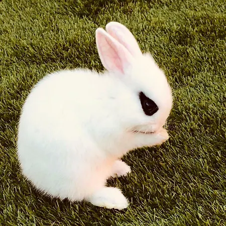 Pensionat Infinity Sky Varna