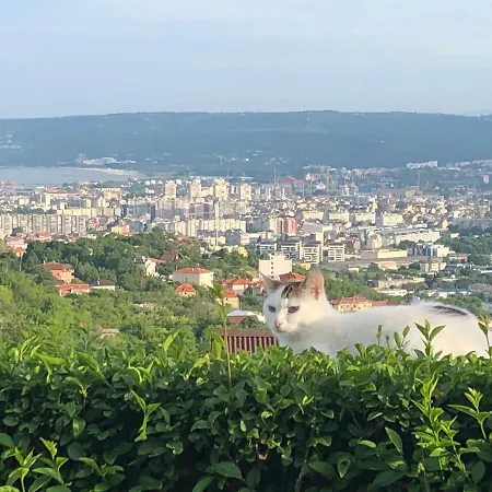 Pensionat Infinity Sky Varna