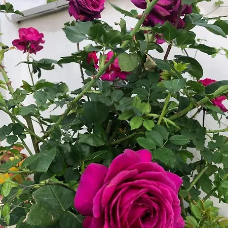 Infinity Sky Pensionat