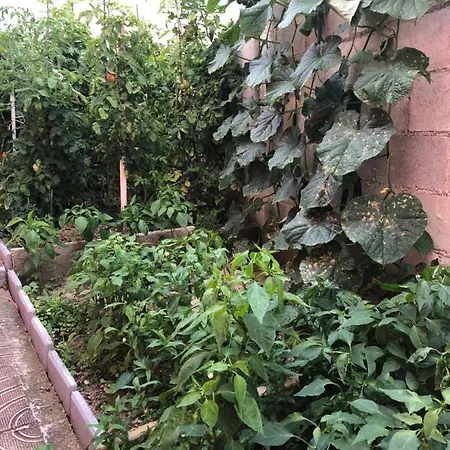 Pensionat Infinity Sky *