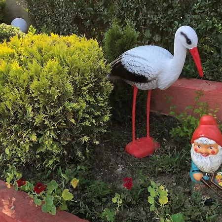 Infinity Sky Pensionat Varna