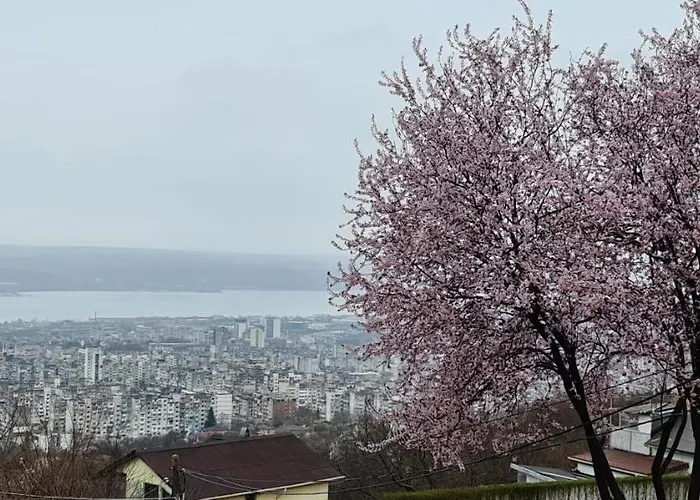 Infinity Sky Affittacamere