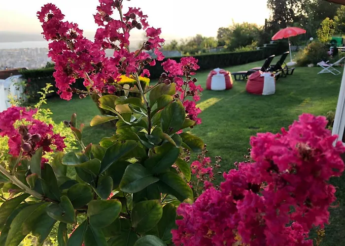 Infinity Sky Affittacamere