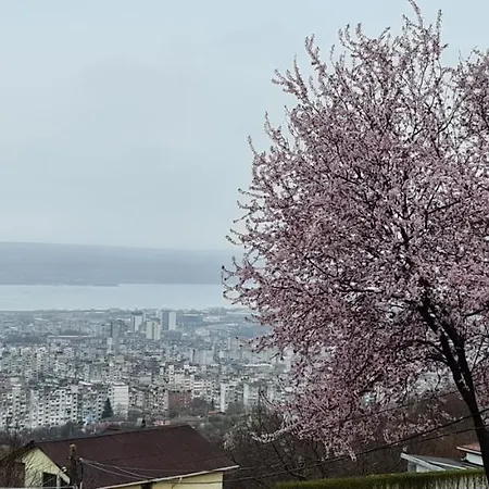 Infinity Sky Maison d'hôtes