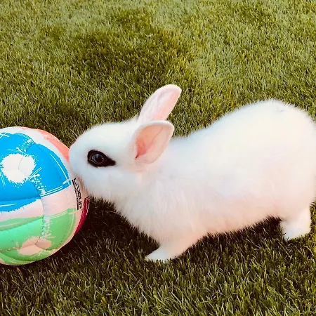 Infinity Sky Maison d'hôtes Varna