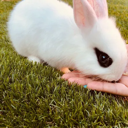 Maison d'hôtes Infinity Sky *