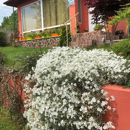 Infinity Sky * Varna