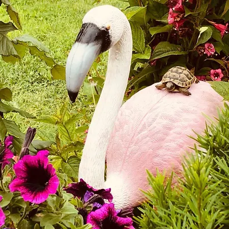 Maison d'hôtes Infinity Sky Varna