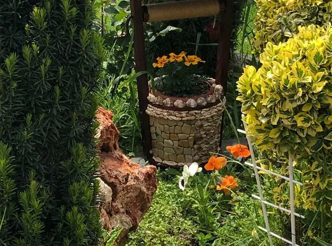 Infinity Sky * Varna