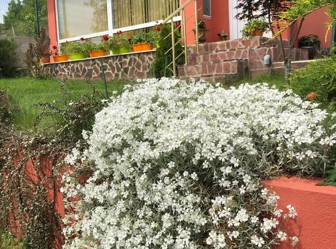 Infinity Sky * Varna