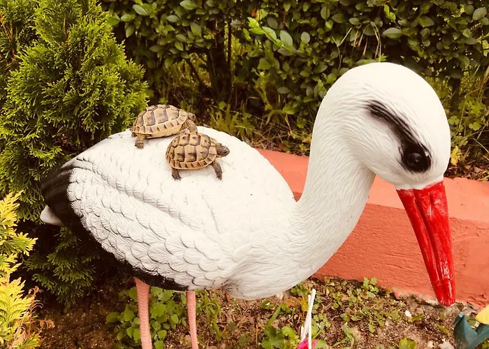 Infinity Sky * Varna