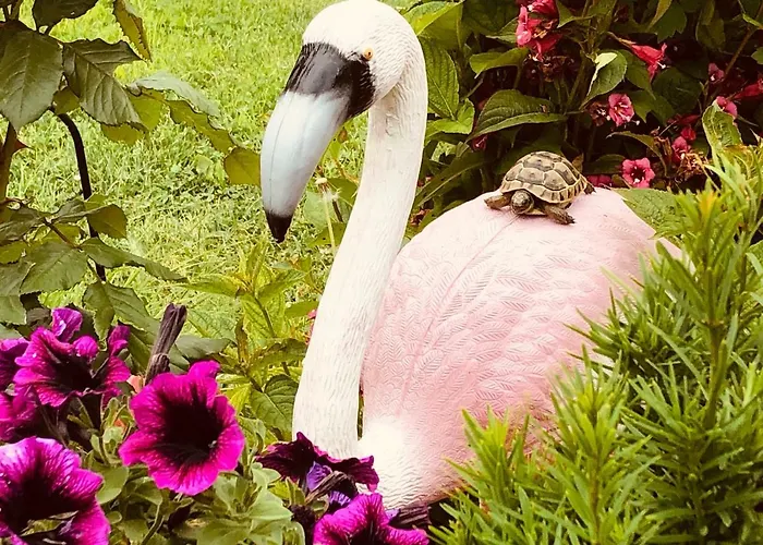 Gasthuis Infinity Sky Varna