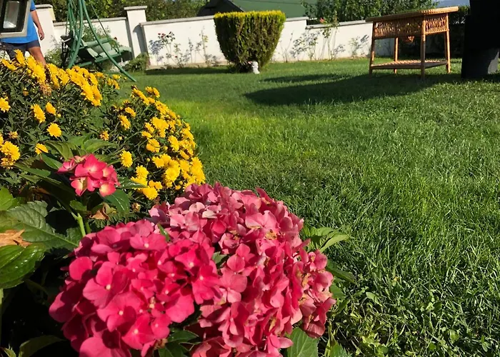 Gasthuis Infinity Sky