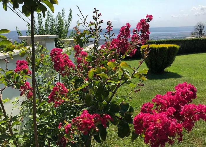 Gasthuis Infinity Sky *