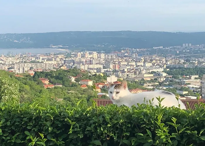 Konukevi Infinity Sky Varna