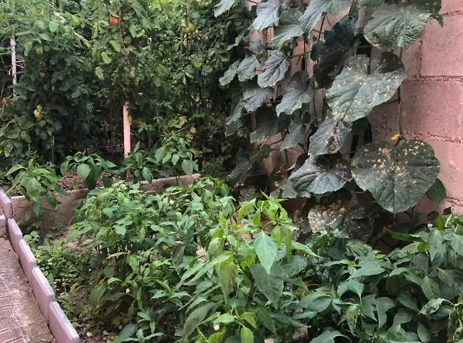 Konukevi Infinity Sky *