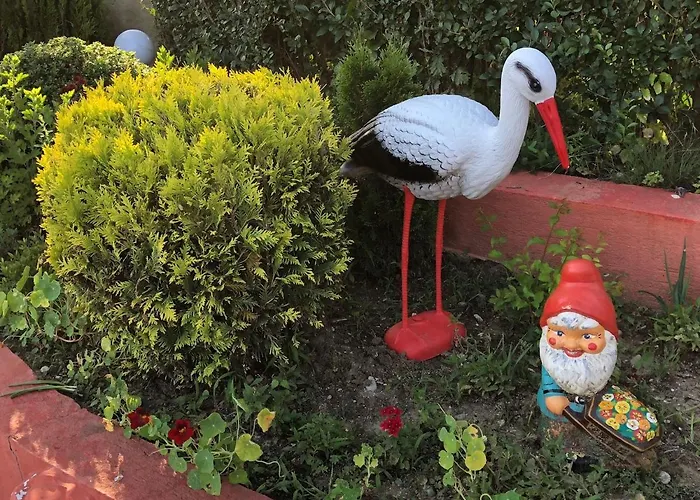 Infinity Sky Gasthuis Varna